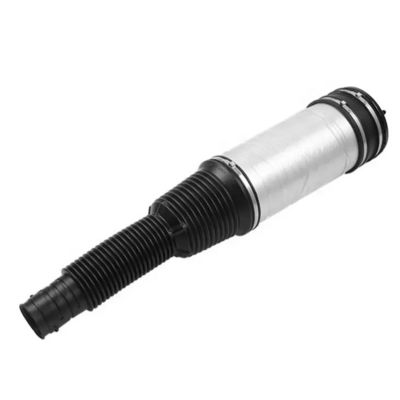 W220 Muelle de aire trasero