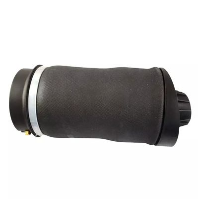 W251 Muelle de aire trasero