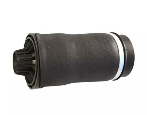 W251 Muelle de aire trasero