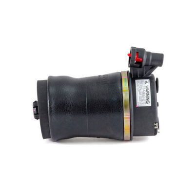 Alto rendimiento para Ford Air Rear Spring Nueva marca 17610025-101, 17610025-102