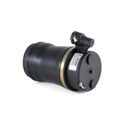 Alto rendimiento para Ford Air Rear Spring Nueva marca 17610025-101, 17610025-102