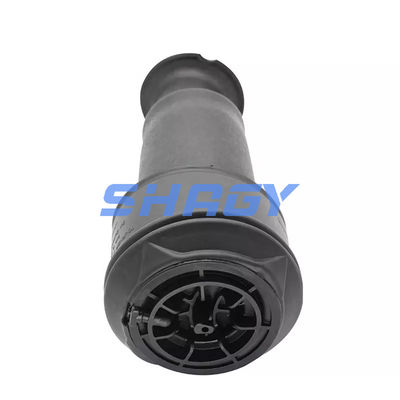 Para el Mercedes Citroen C4 trasero 96819460805102 GN5102R8 Muelle de aire